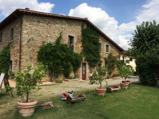 Agriturismo Relais Poggio Primo Borro Buitenkant foto